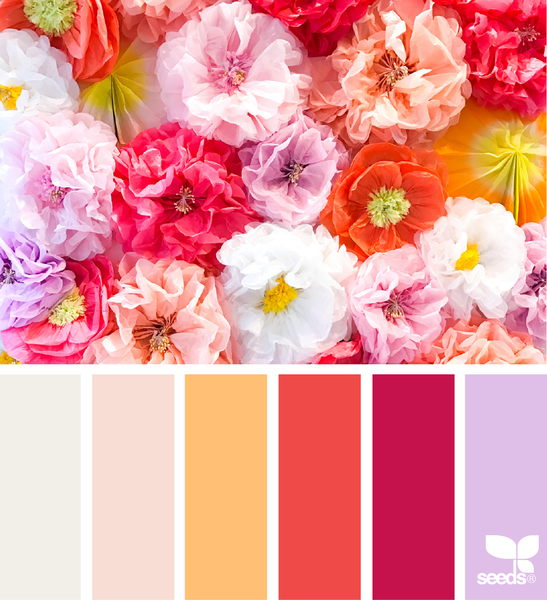 FestiveFlora