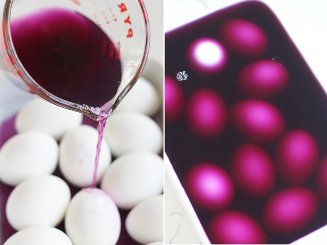 DIY Dyed Robin Eggs
