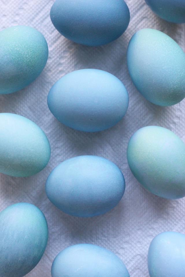 DIY Dyed Robin Eggs