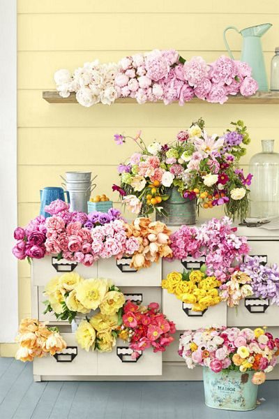 Flower Displays