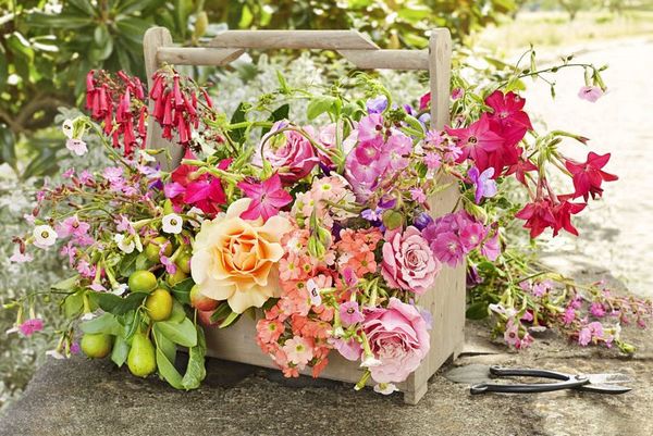 Flower Displays
