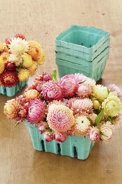 Flower Displays