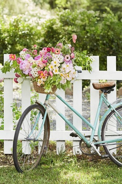 Flower Displays