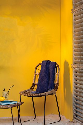 color ideas_walls