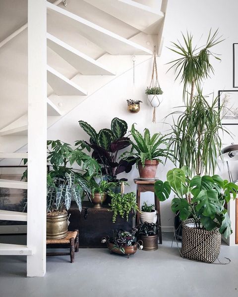 under the stairs