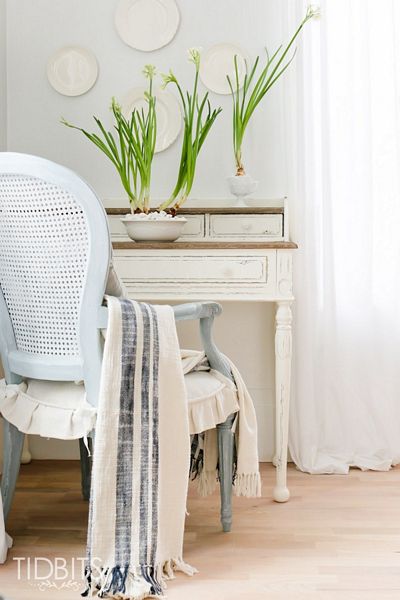 How to Force Bulbs Indoors