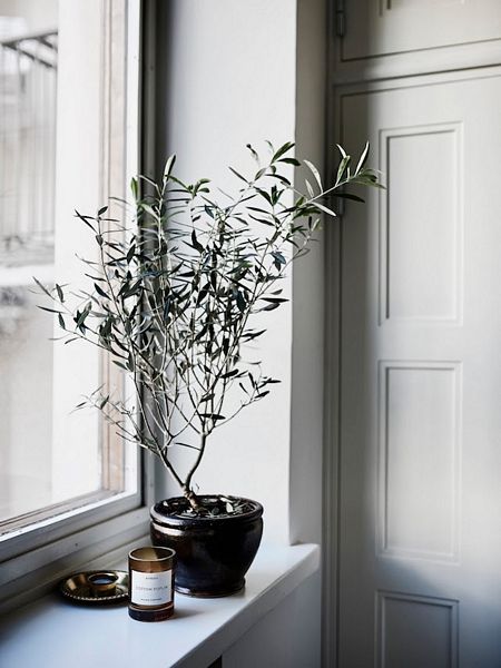 A calm and elegant Finnish home