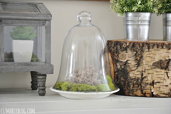 DIY Glass Cloche Moss Terrarium