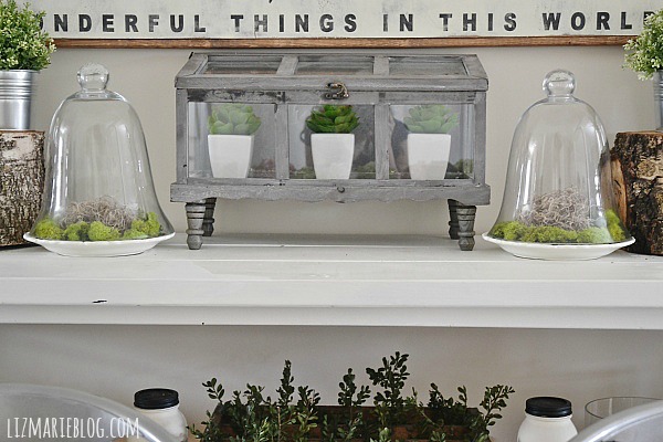 DIY Glass Cloche Moss Terrarium