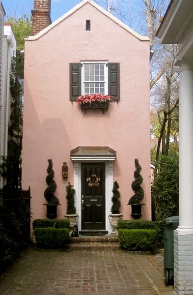 A touch of Pink