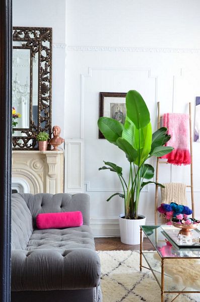 Traditional Brooklyn home