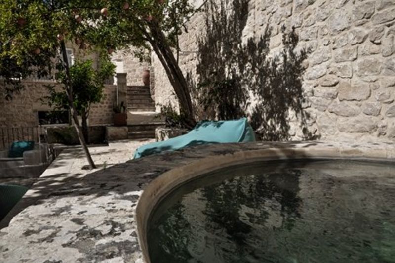 Hortus by Anime a Sud