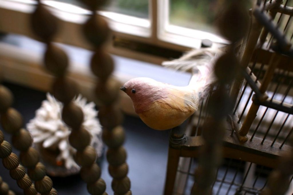 40 Winks by David Carter