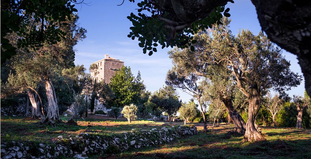 A magnificent tower in Croatia