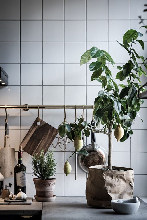 Swedish apartment with dark floor styled by Emma Hos