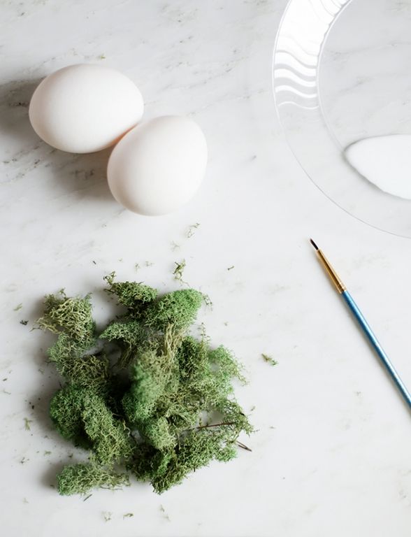 DIY Moss Design Eggs