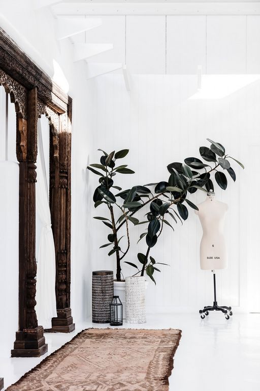 Spell and the Gypsy Collective's office