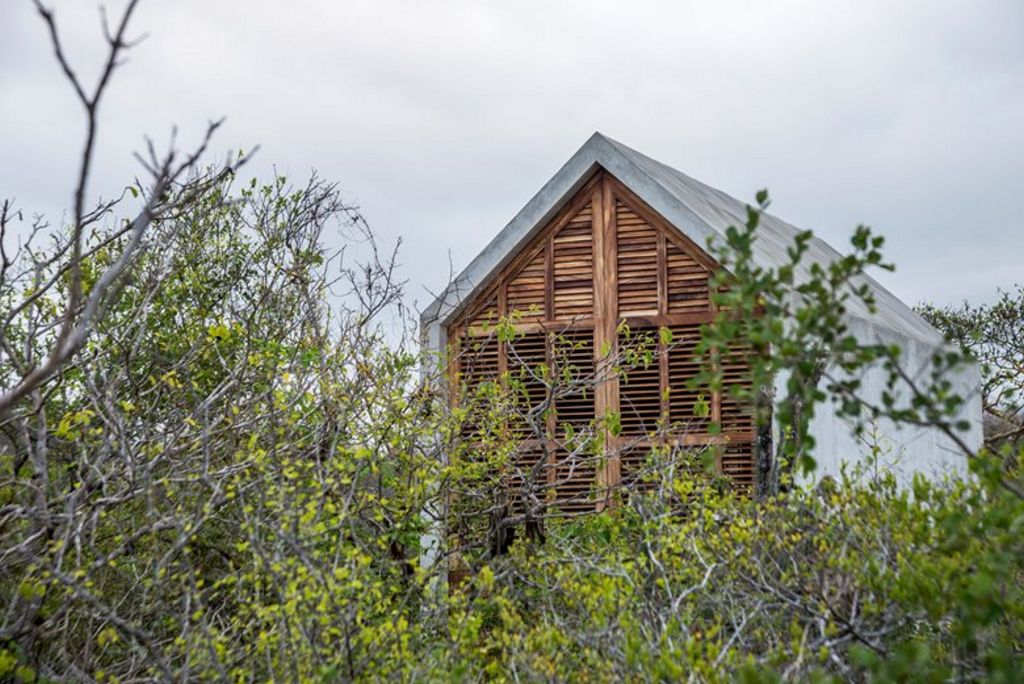 Tiny House in Puerto Escondido, Mexico