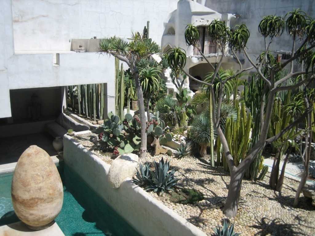 Photographer Philip Dixon's House in Venice, California