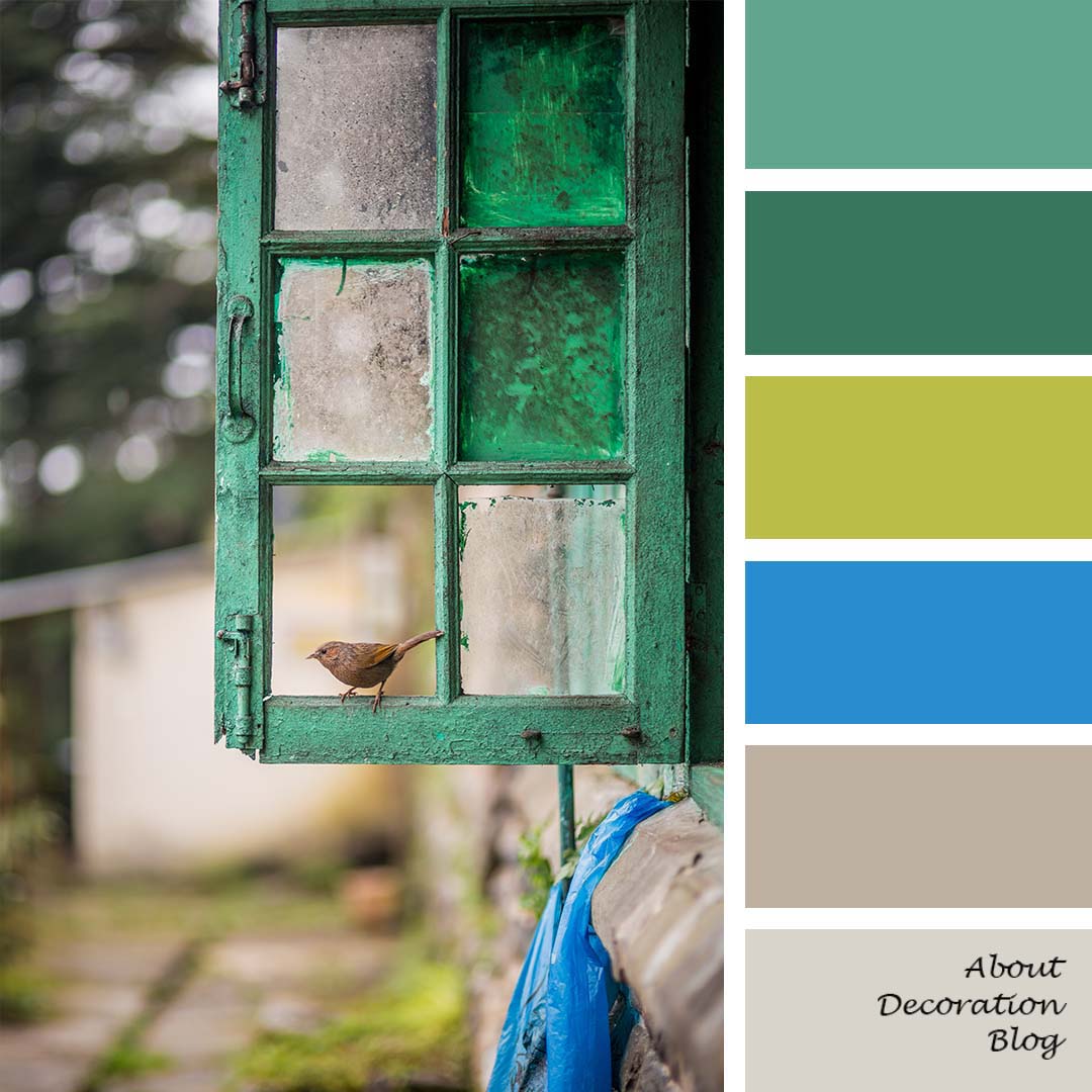 color palette