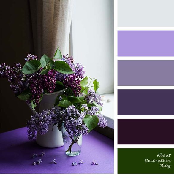 color palette