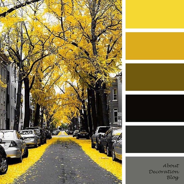 fall road palette