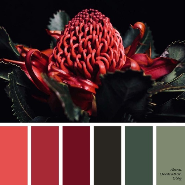 wild flower palette