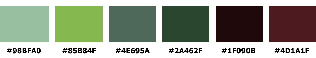 Succulent plant palette