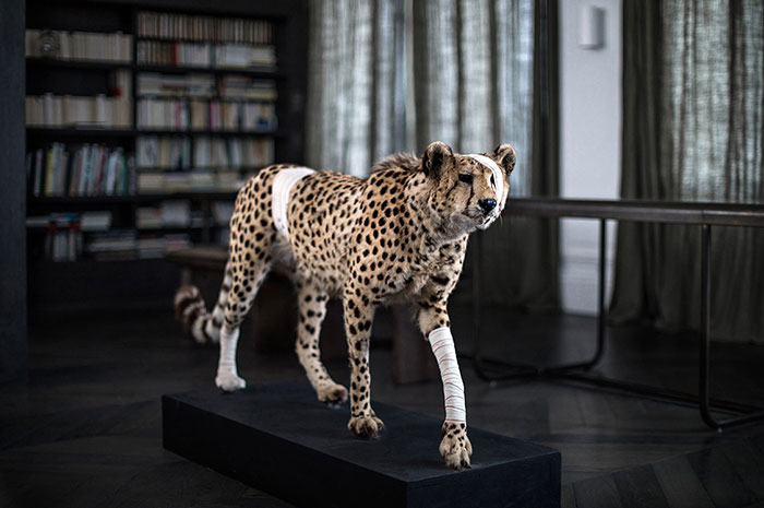 Αn impressive apartment in Paris by Frederic Berthier