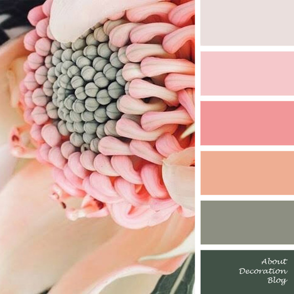 Wild Flower Palette