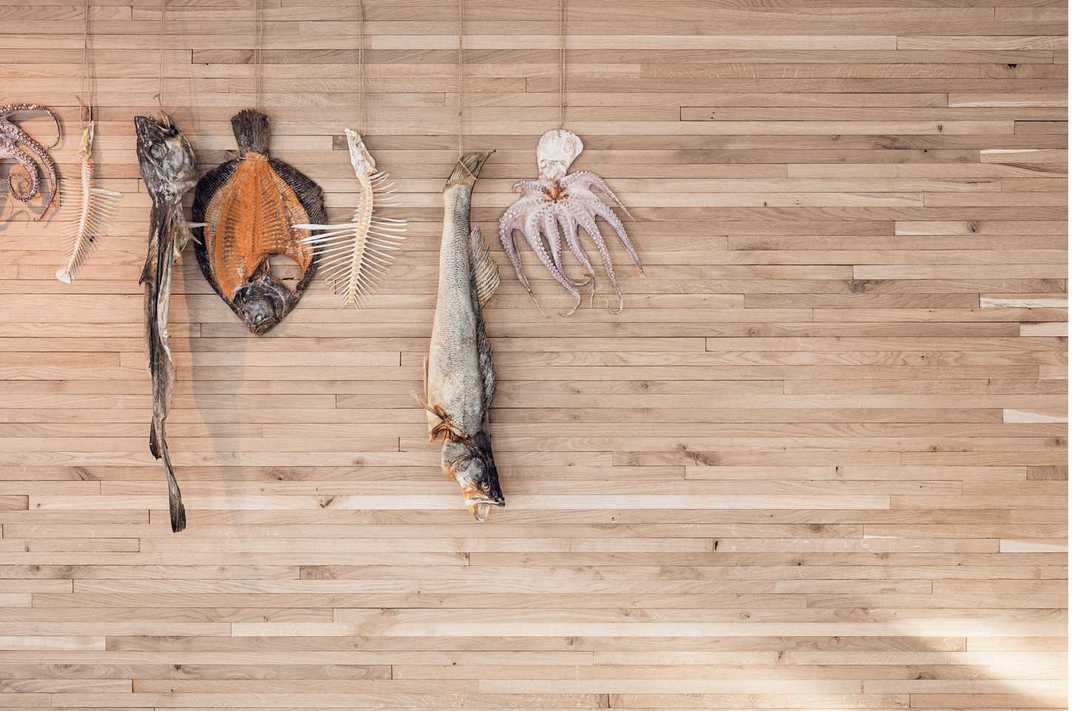 Noma Restaurant in Copenhagen by Studio David Thulstrup