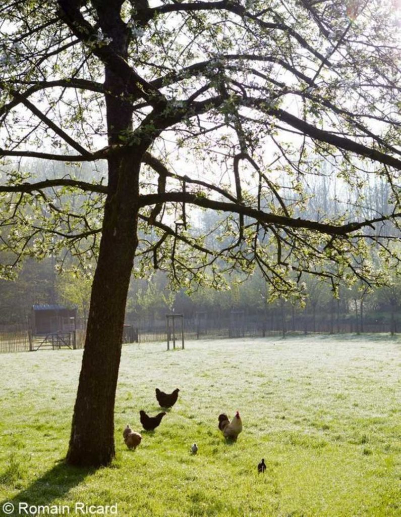 Moka & Vanille, a restored Farmhouse in Belgium