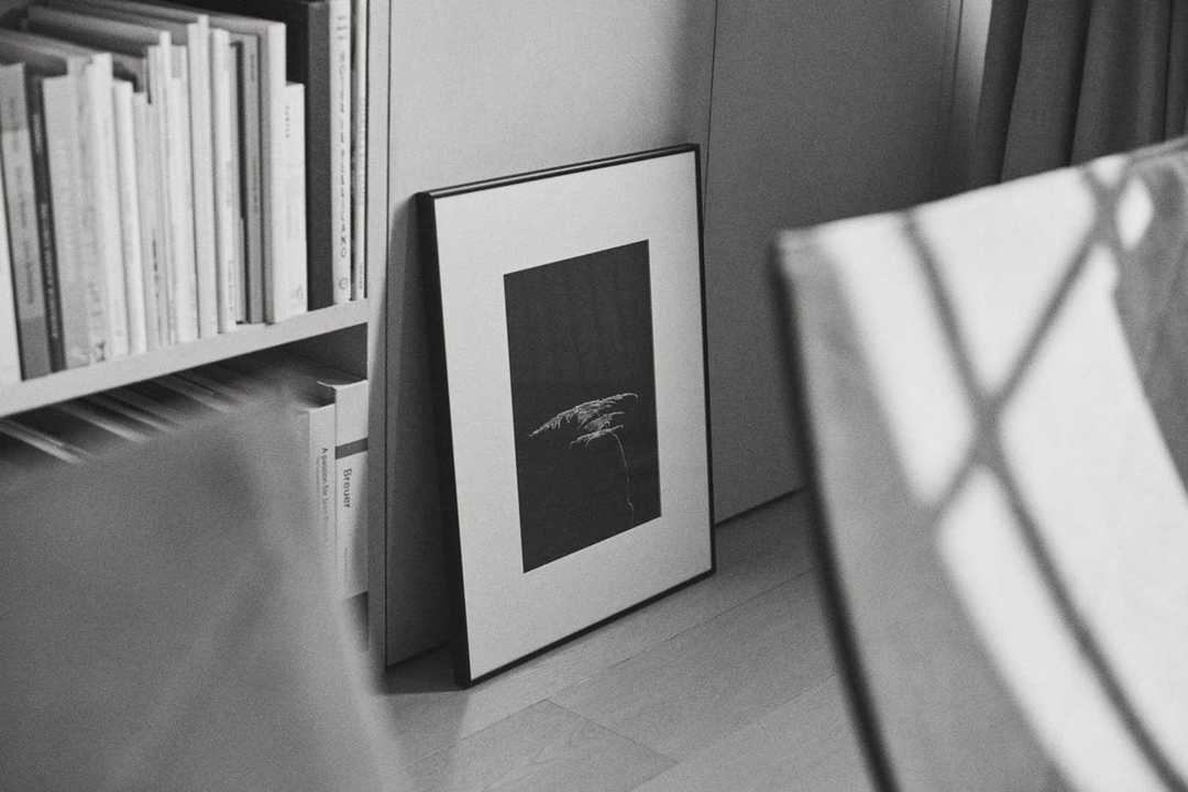Through the lens of Rich Stapleton