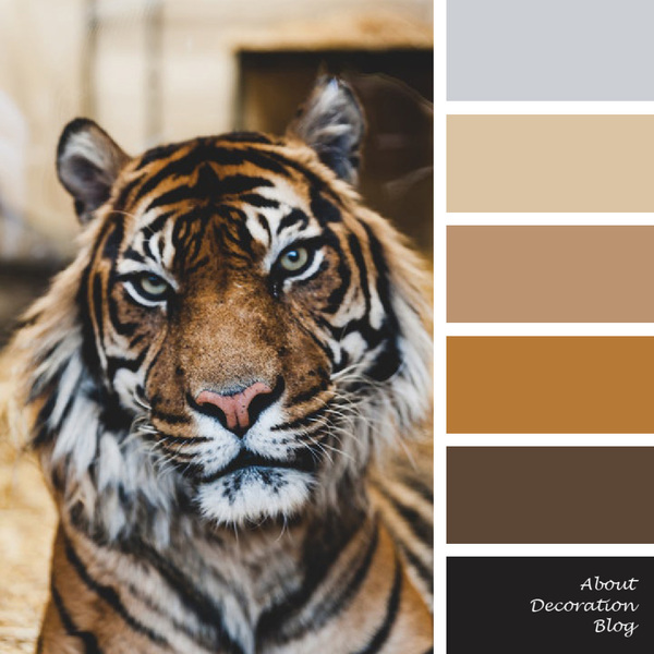 animal color palette