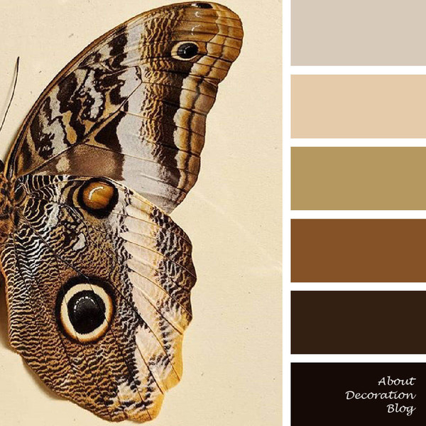 Βutterfly Color Palette