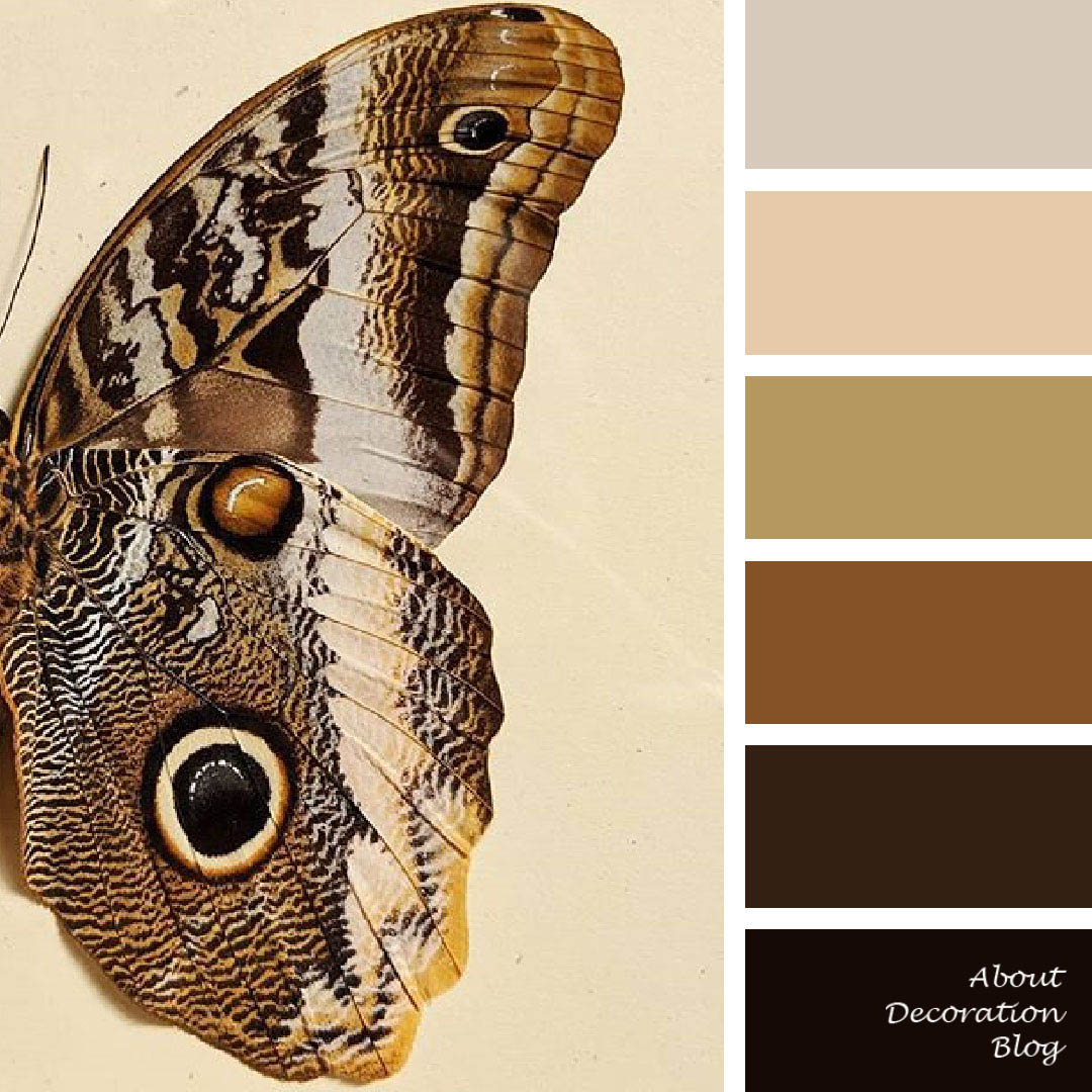 Βutterfly Color Palette