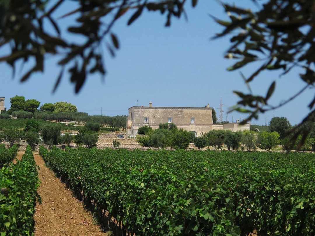 Masseria Angiulli Piccolo in Puglia, Italy