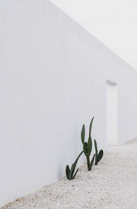Masseria Moroseta Hotel in Ostuni, Puglia by Andrew Trotter