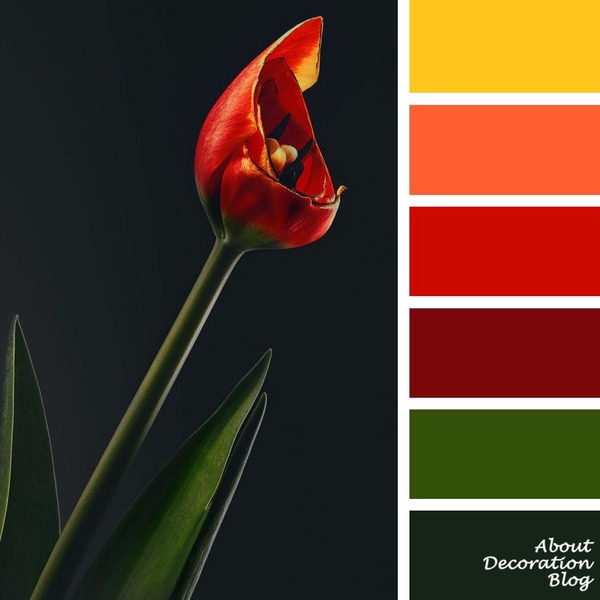 Flower Palette