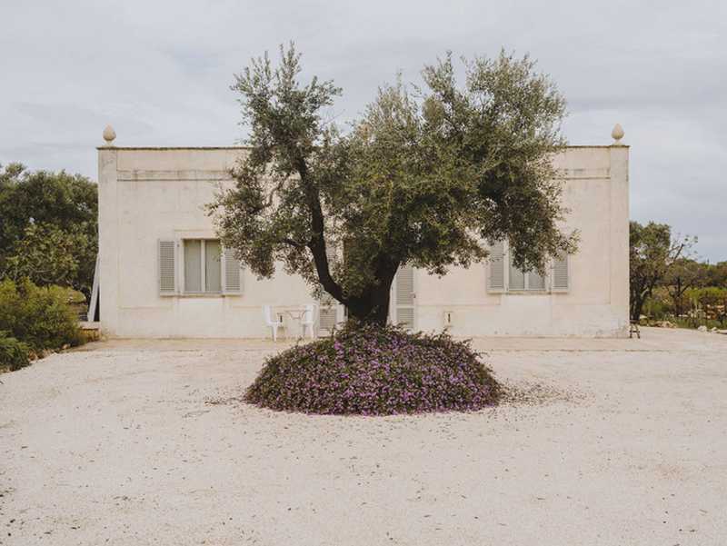 Villa Castelluccio in Puglia, Italy by Andrew Trotter