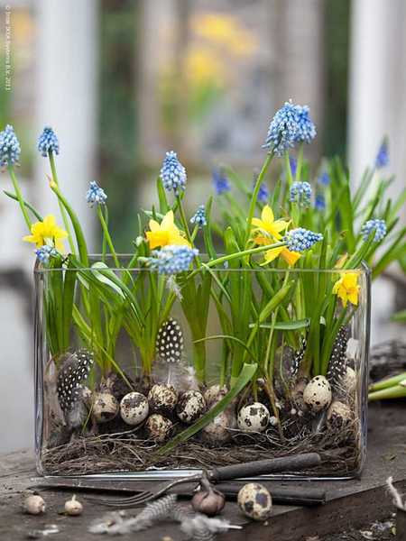 Easter Aquarium