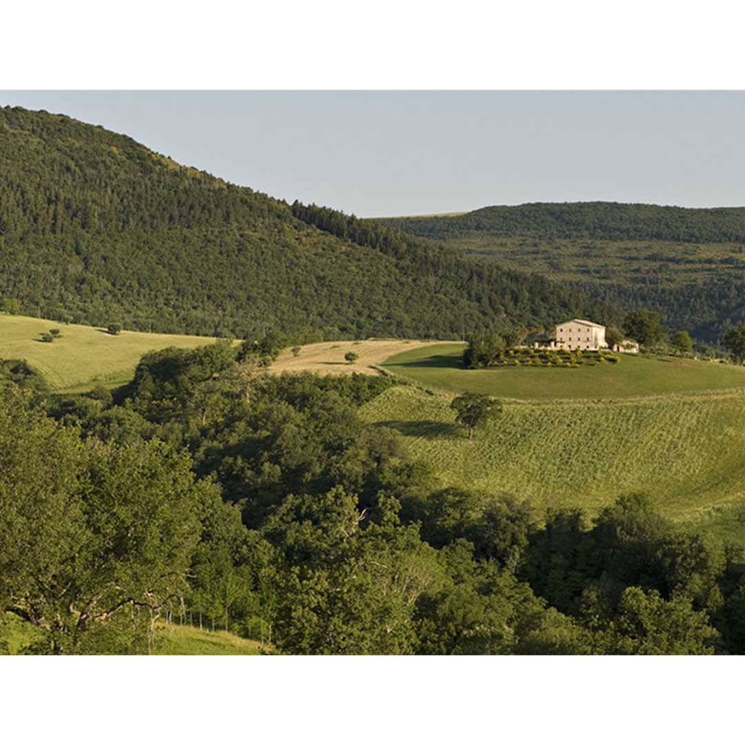 Casa Olivi in Le Marche, Italy