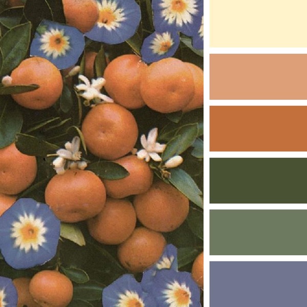 Fruits Pallete