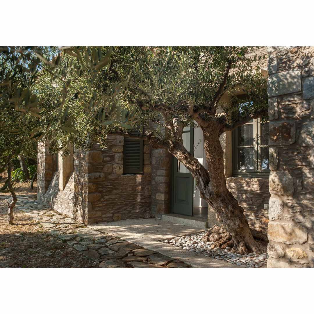 Ludovica by ETSI Architects