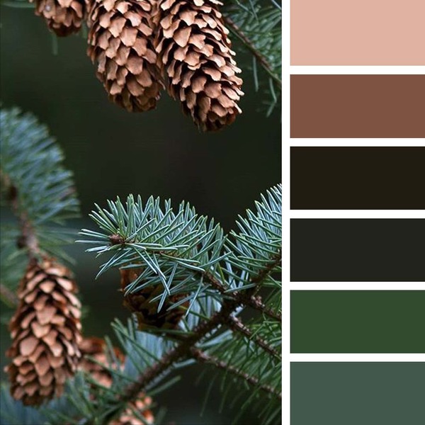Christmas palette