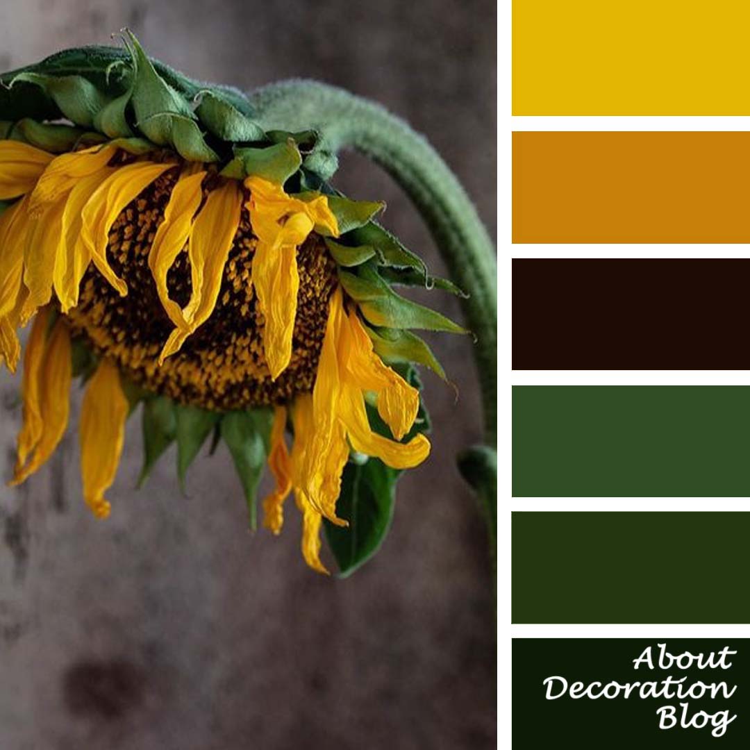 Sunflower Palette