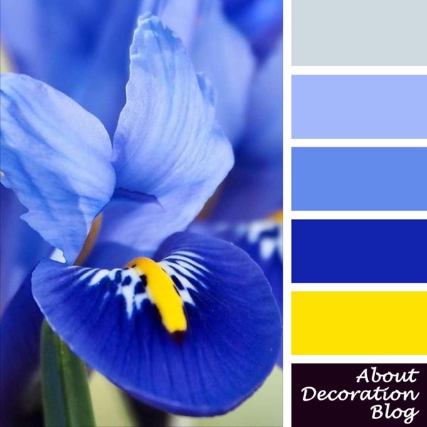Flower palette