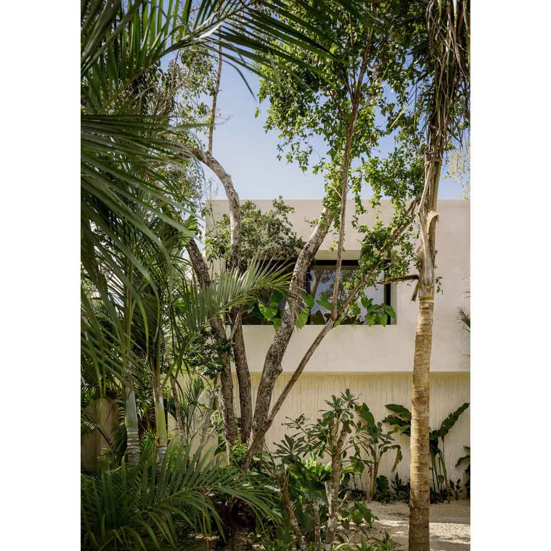 Casa Areca by CO-LAB Studio
