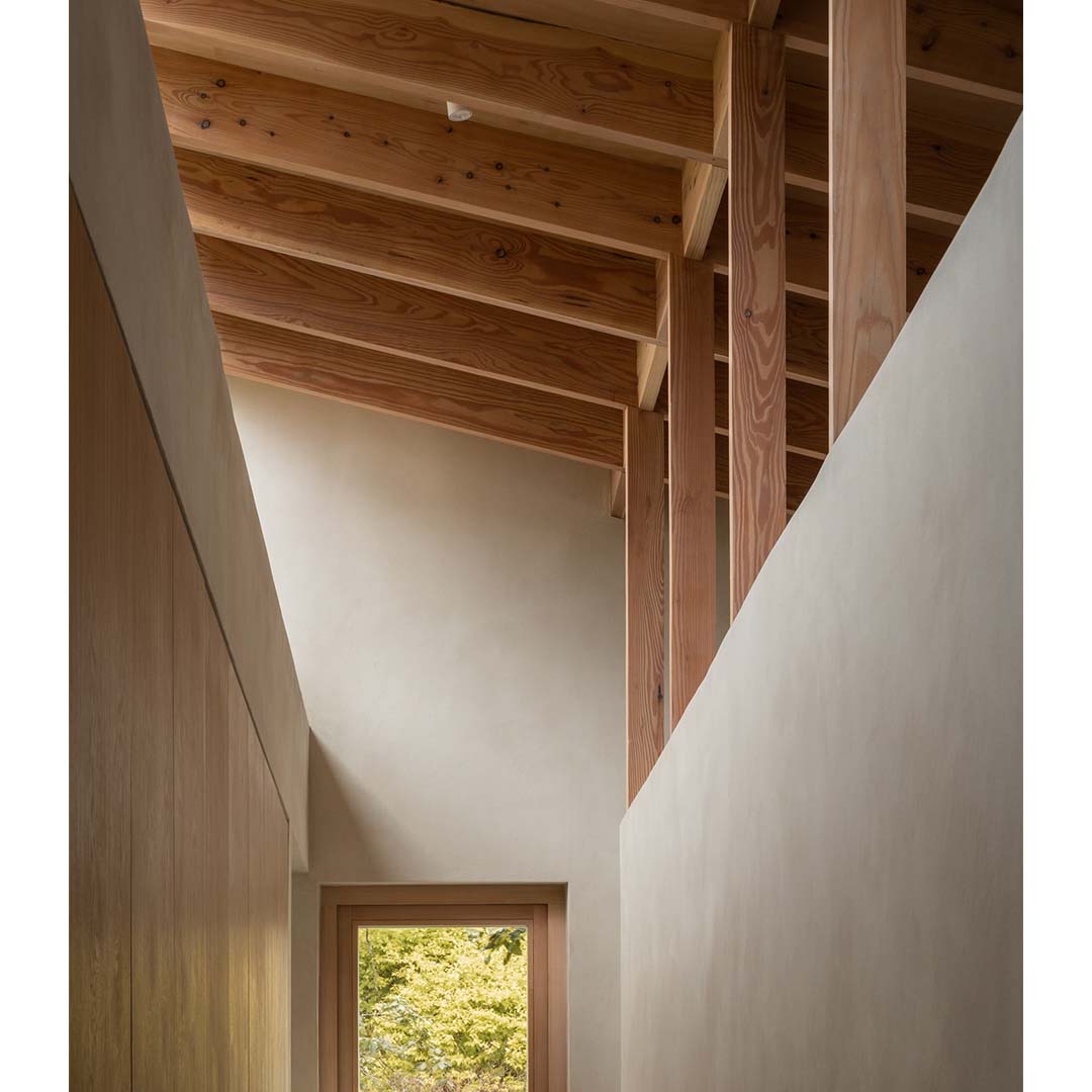 Butterfly House by Oliver Leech Architects