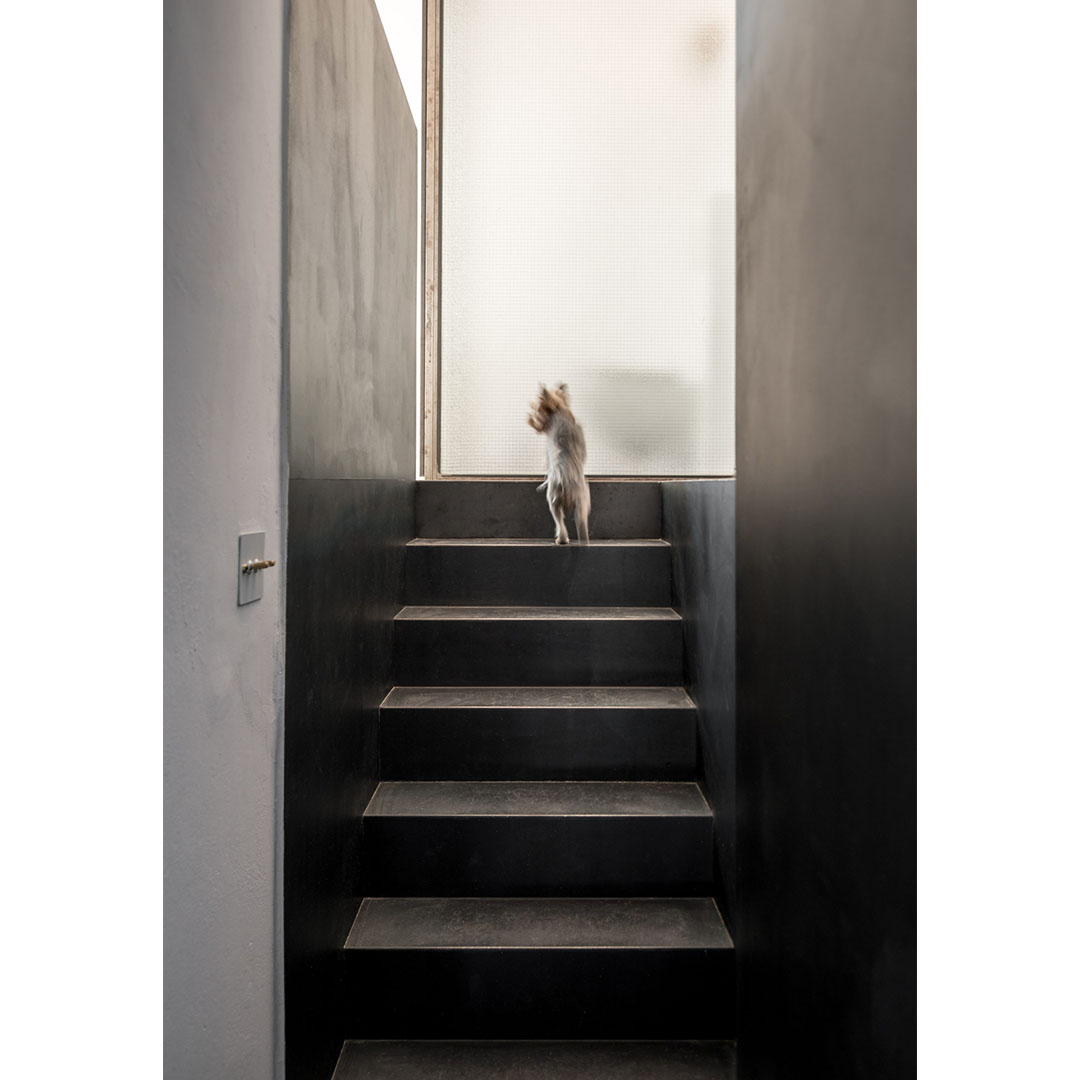CBO Residence by Mold Architects